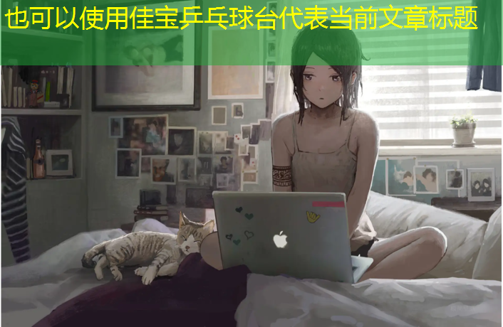 佳宝乒乓球台