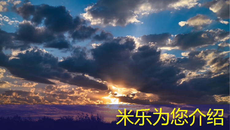 <strong>米乐m6官网登录入口：合肥聚氨酯塑胶跑道</strong>