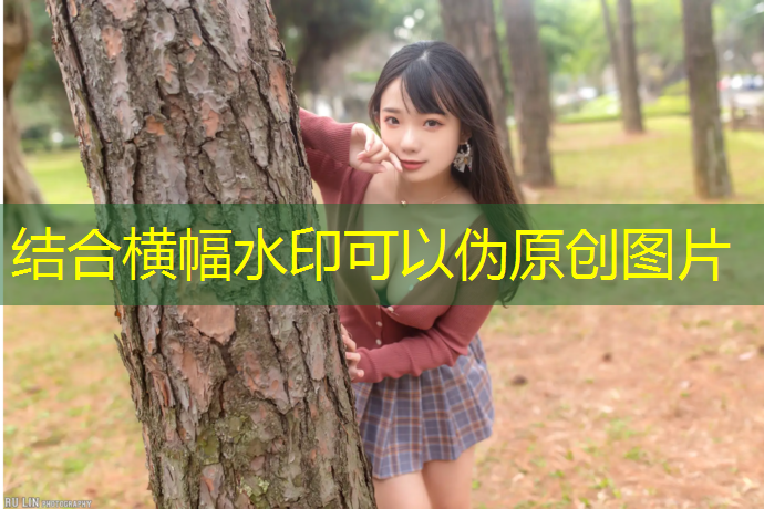 佳宝乒乓球台