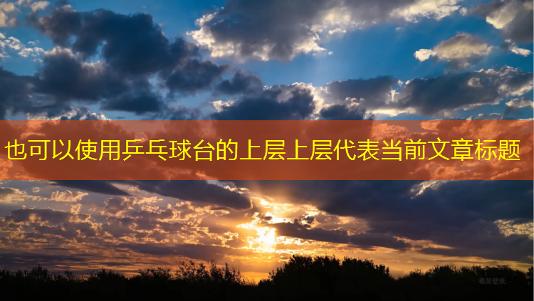 乒乓球台的上层上层